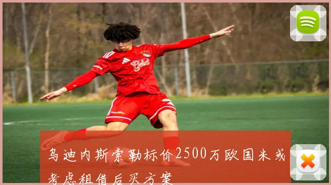 乌迪内斯索勒标价2500万欧国米或考虑租借后买方案